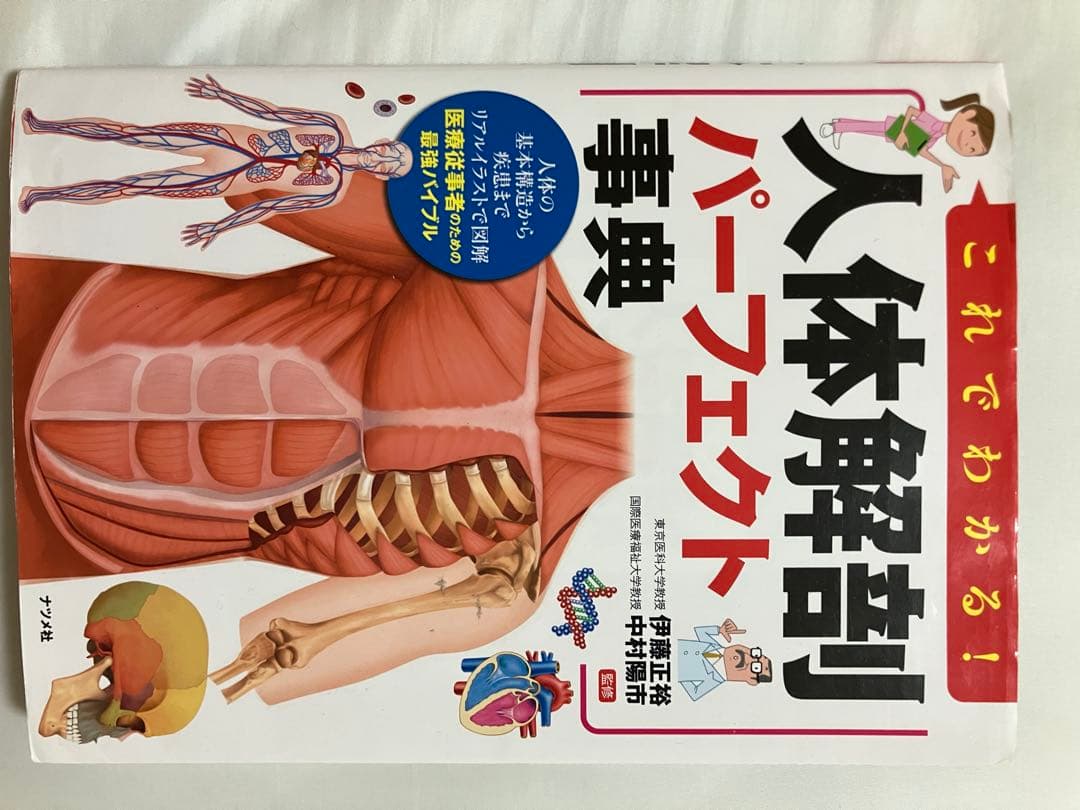 教科書　まとめ売り