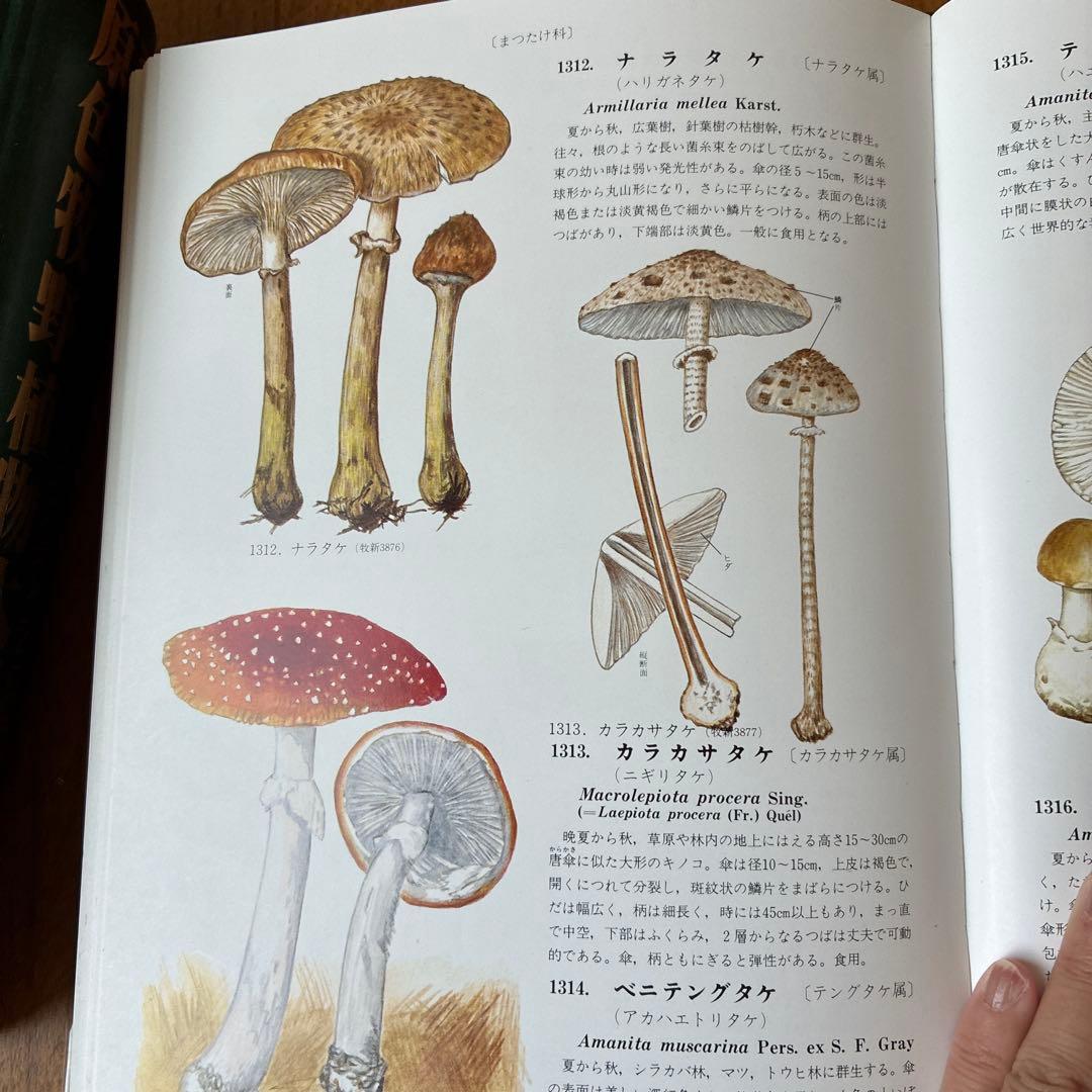 訳あり　原色牧野植物大図鑑