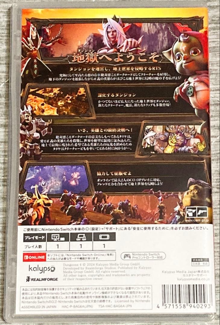 【新品購入❤️】任天堂スイッチダンジョンズ4エディションレディースメンズ（動作⭕️）