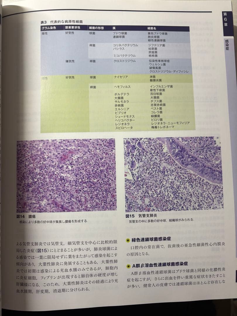 解明　病理学