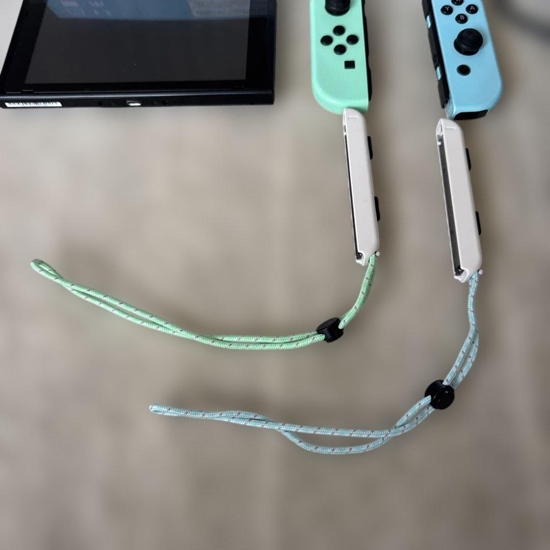 Nintendo Switch あつまれ どうぶつの森セット　値下げしてます！