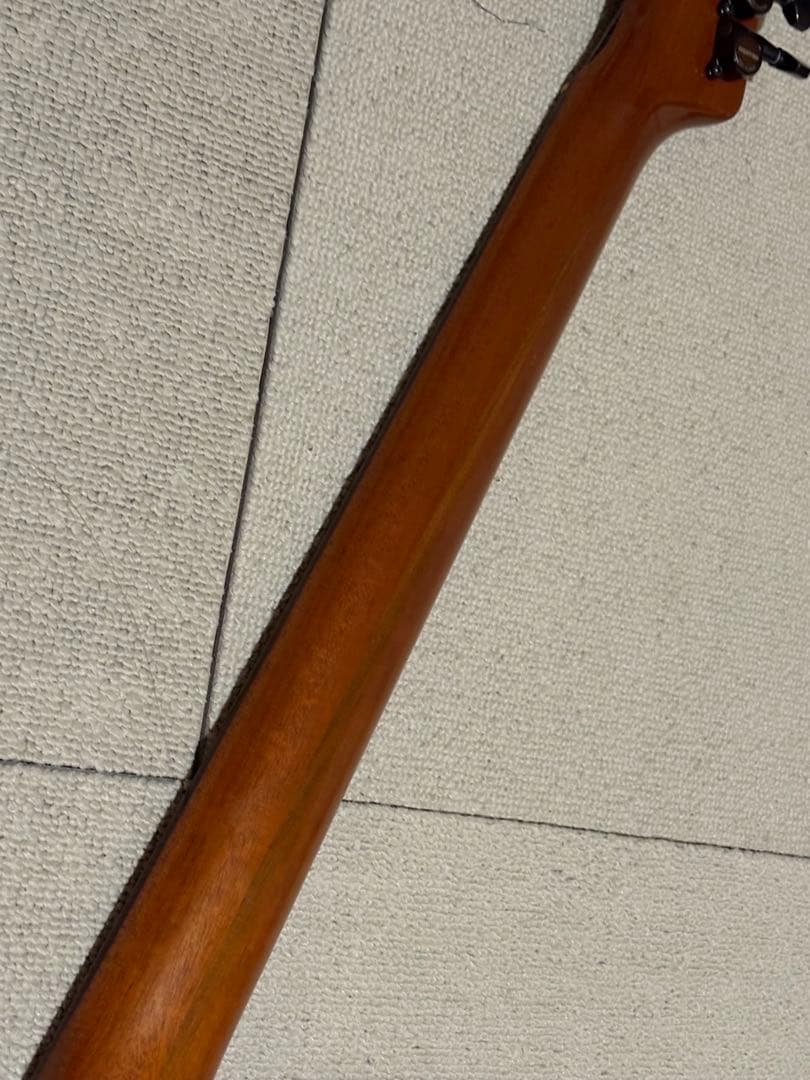 History HEG-120 日本製 エレガットギター フジゲン製 ケース付
