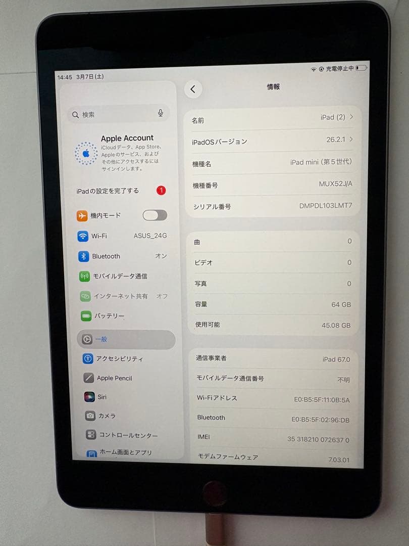 い*ん様 iPad mini 5th Cellular 64GB