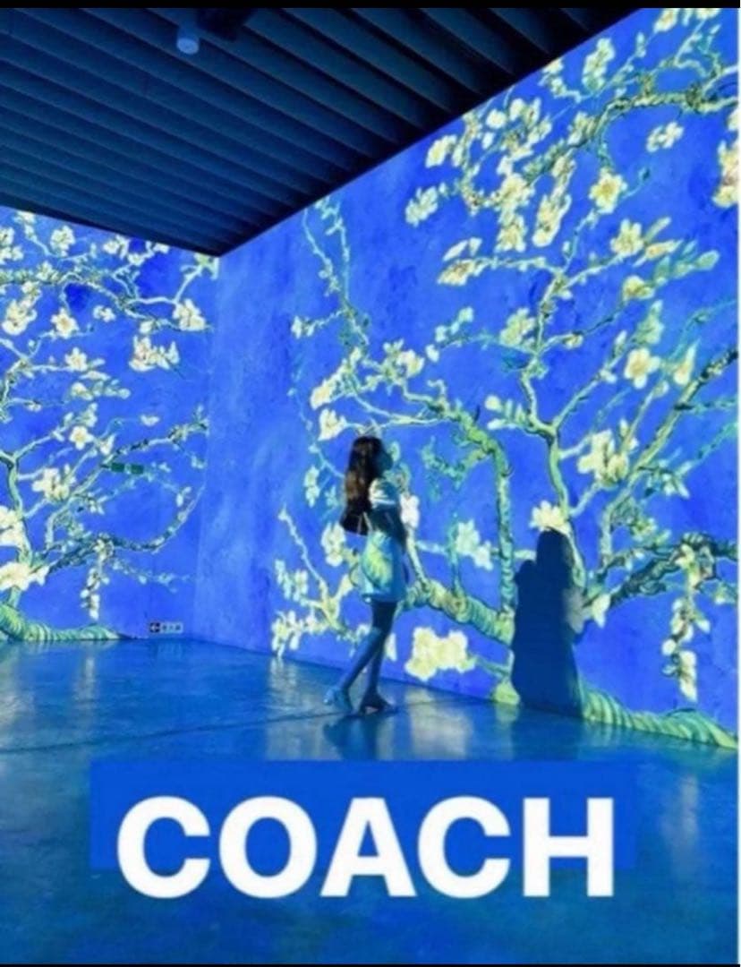 COACHパスキアコラボホワイト白二つ折り財布スナップウォレット.新品未使用品