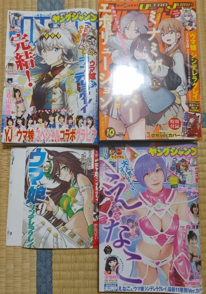 ウマ娘 シンデレラグレイ 替えカバー 雑誌セット