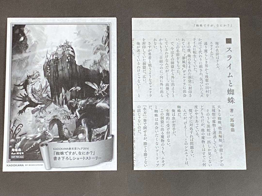 蜘蛛ですが、なにか?（全１６巻、Ex、全巻セット）小説