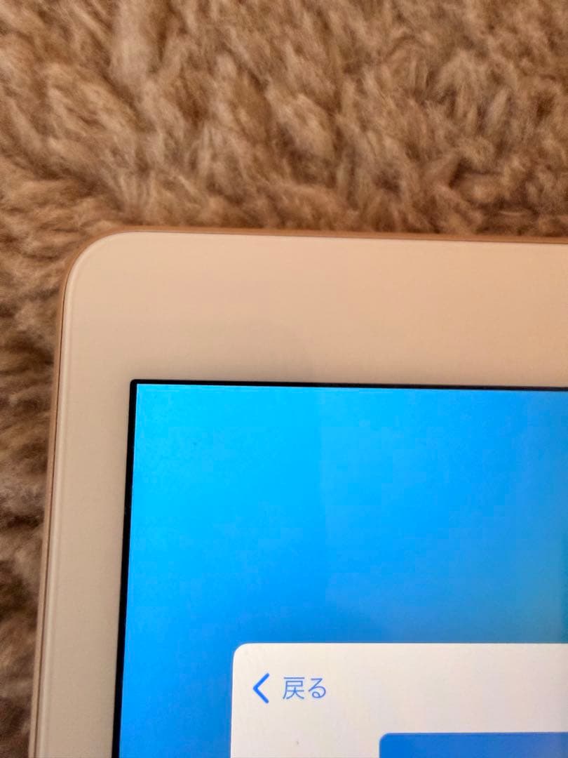 iPad 第5世代　32GB Wi-Fiモデル