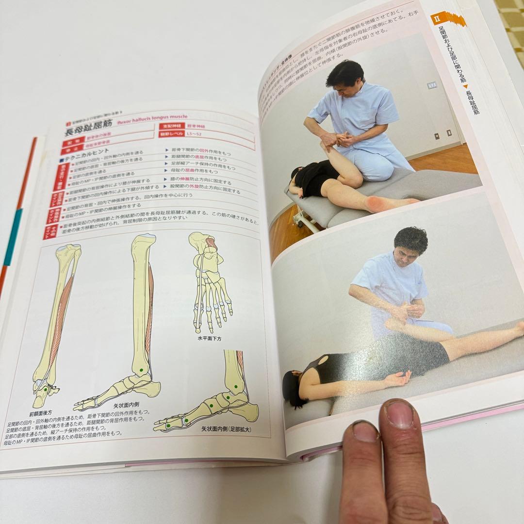 機能解剖学的ストレッチング 上肢下肢・体幹セット