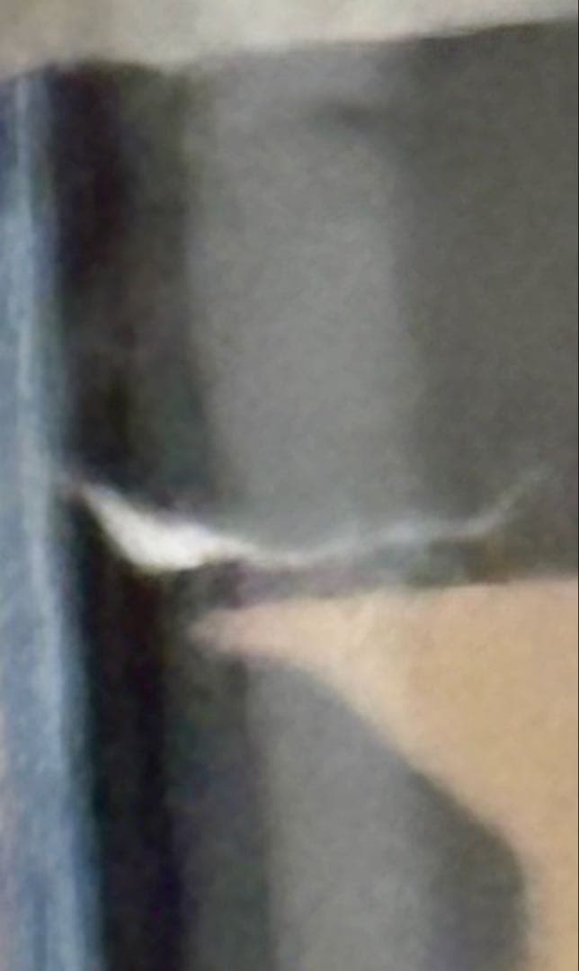 キングダム　1〜78巻　全巻セット　+ 関連本1冊