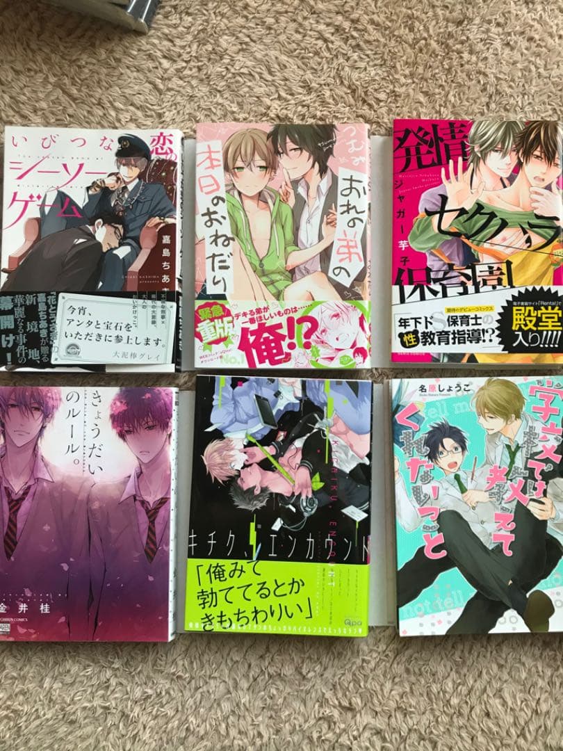 BLマンガ まとめ売り  バラ売り可能