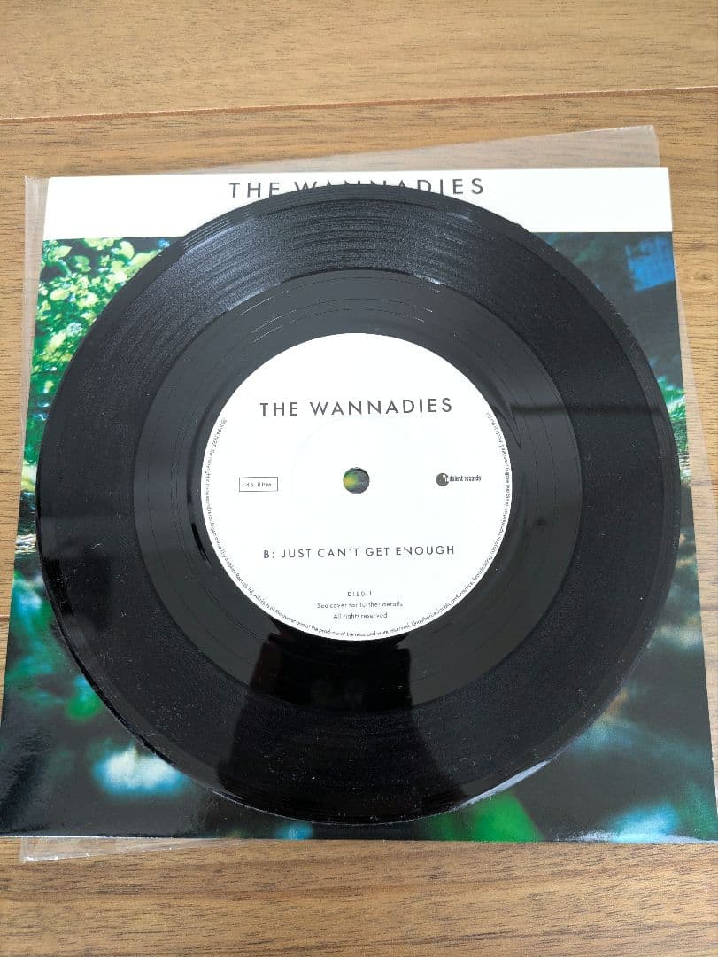 THE WANNADIES/YOU&ME SONG　7インチ　限定盤　レコード