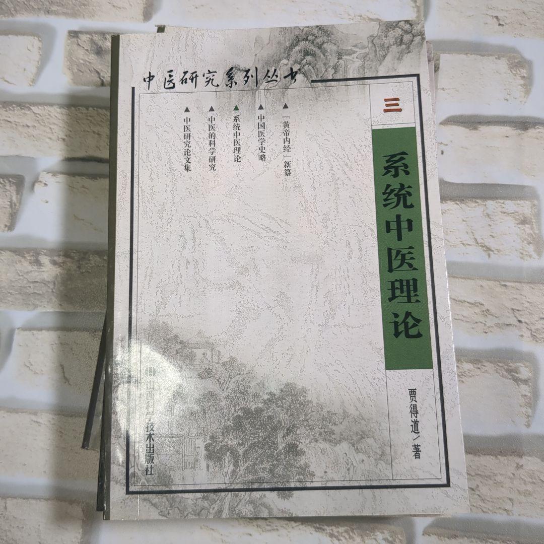 中医研究系列丛书 全5巻