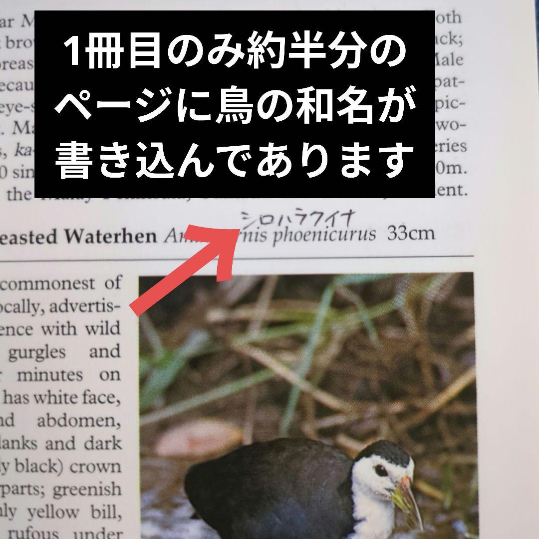 【洋書】鳥類図鑑 東南アジア・エジプト・ペルー オールカラー 5冊セット