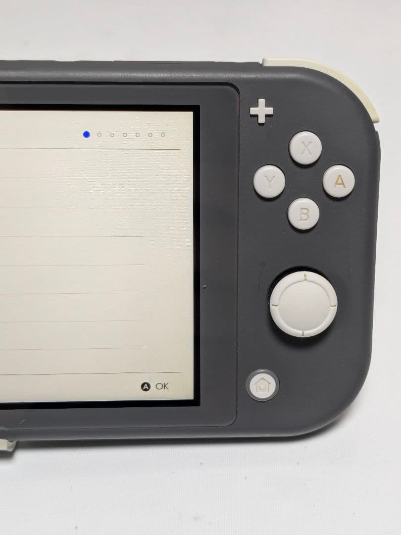 動作品 任天堂 スイッチライト switchlight hdh-001 本体のみ
