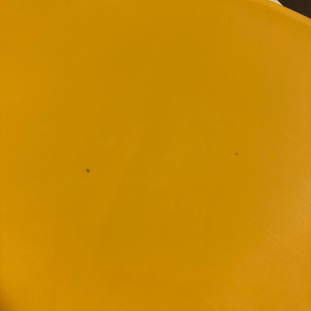 廃盤 激レア THE DAMNEDイエローヴァイナル仕様 レコード LP