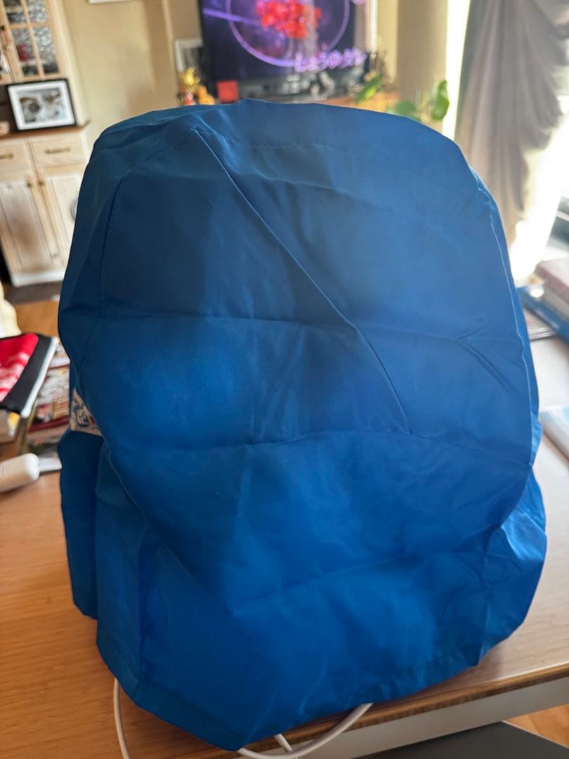 BIODRON Pro1 美顔器バイオプトロンプロ1 超美品