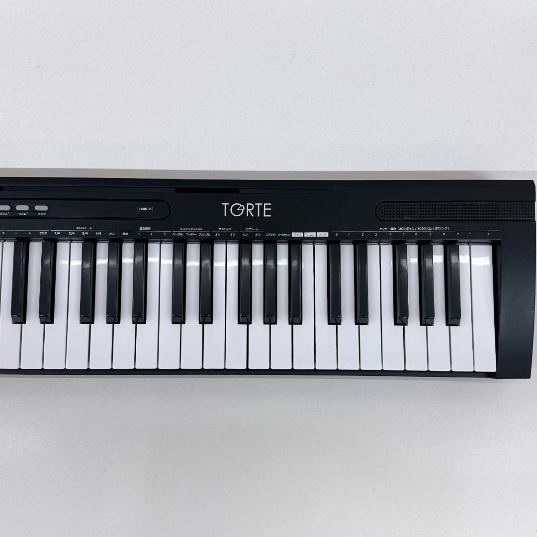 【美品】TGRTE TSDK-61 電子キーボード 61鍵盤 マイク付き