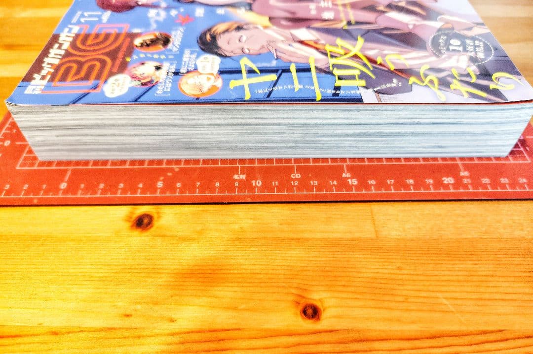 ビッグガンガン2022年11月号　特別付録ヤニ吸う1巻掛け替えブックカバー付き