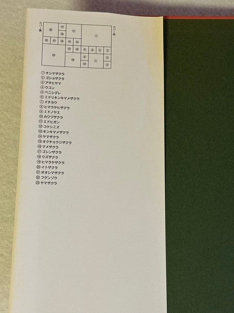 新日本の桜　　山と渓谷社 初版第一版　絶版　図鑑