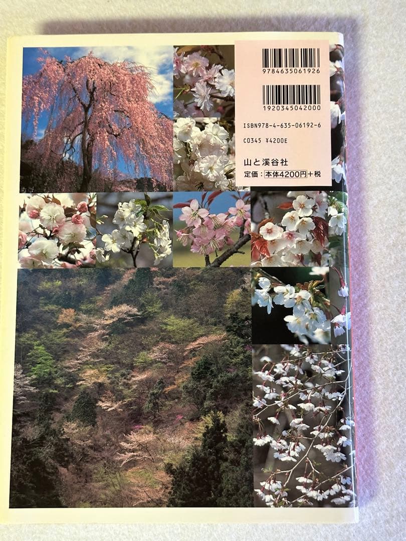新日本の桜　　山と渓谷社 初版第一版　絶版　図鑑