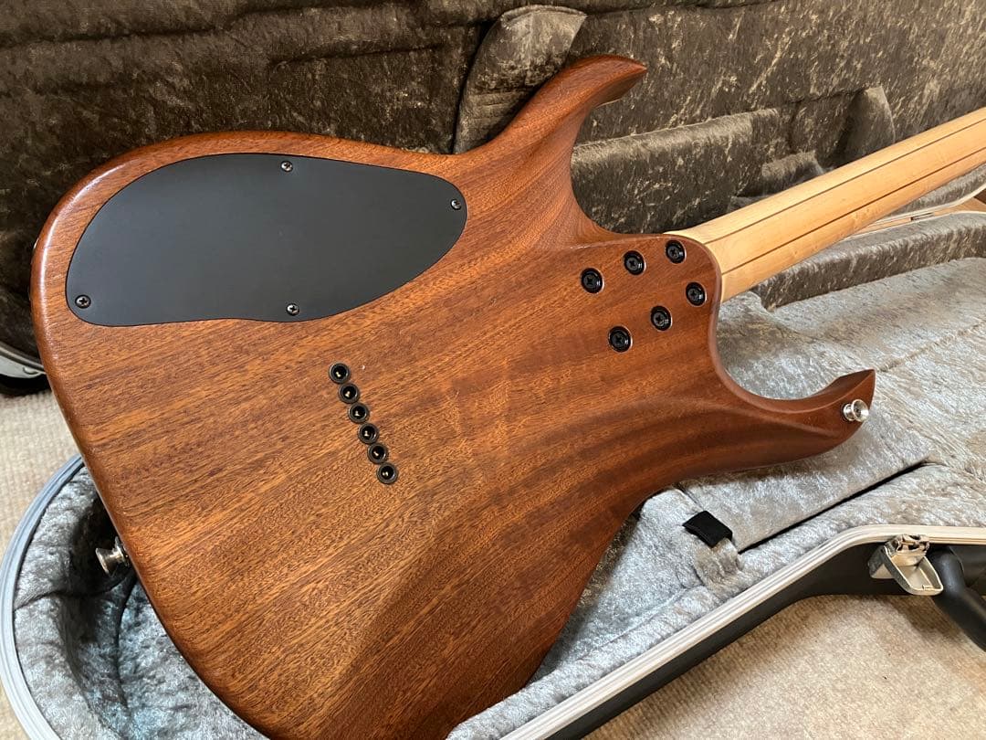 ギター Mayones Duvell Standard 6