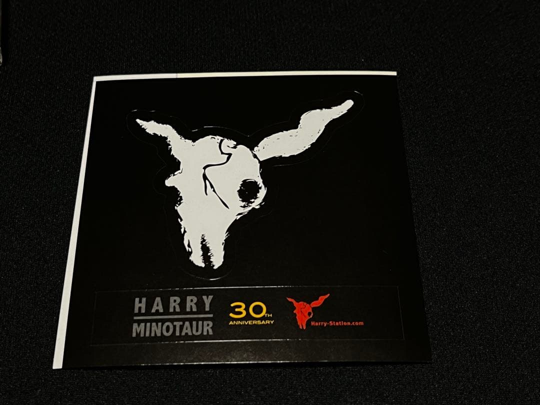 HARRY MINOTAUR 村越弘明 ストリートスライダーズ