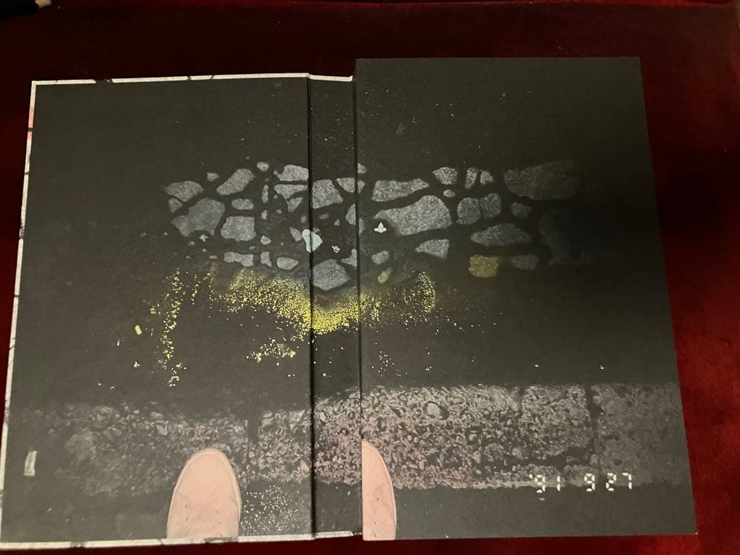 Masahisa Fukase Hibi 深瀬昌久写真集