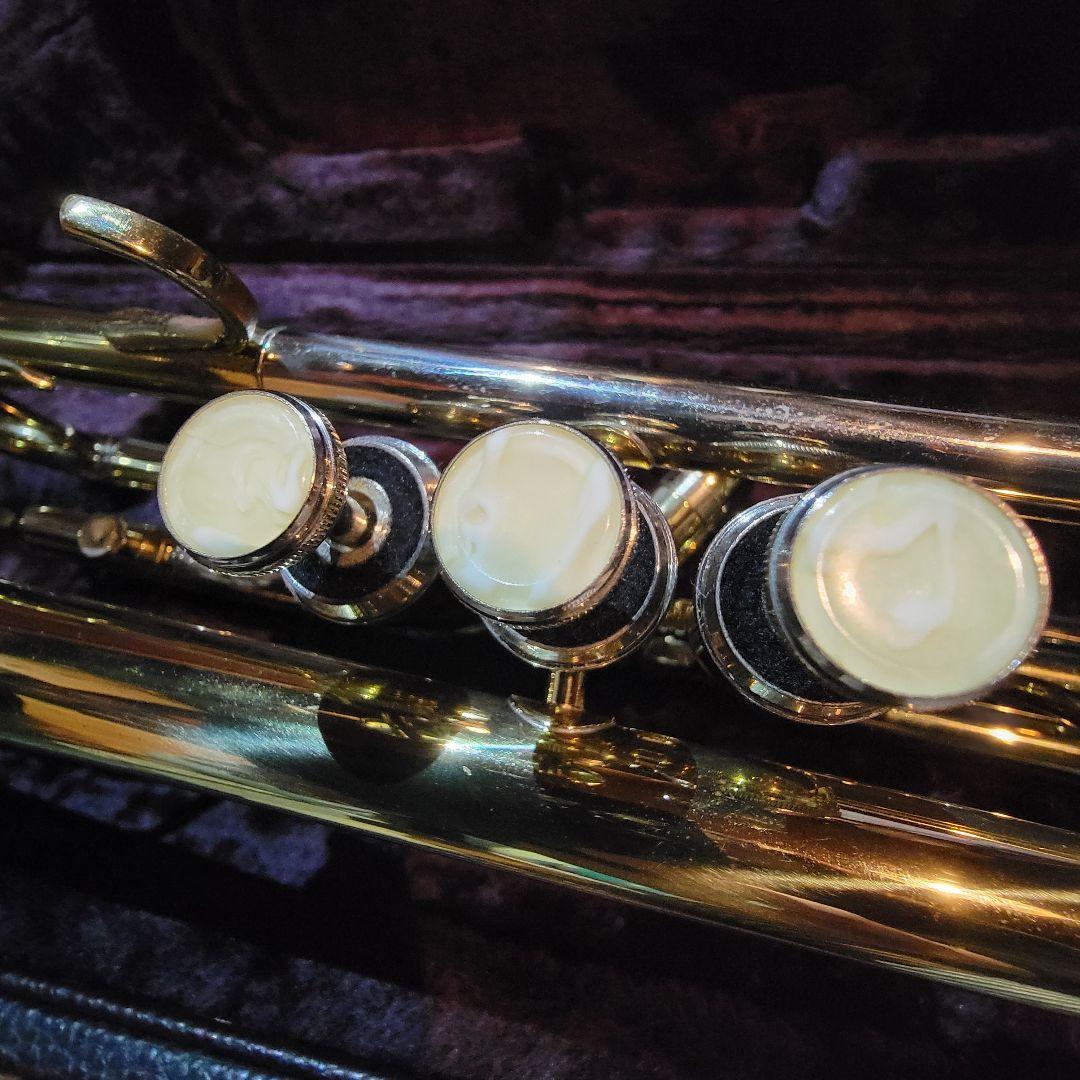 【良品】Heinrich 管楽器 吹奏楽器 トランペット 専用ケース付き