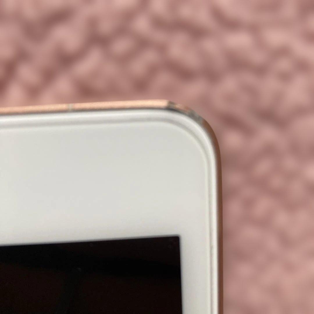 iPad本体 iPad mini Wi-Fi Cellular