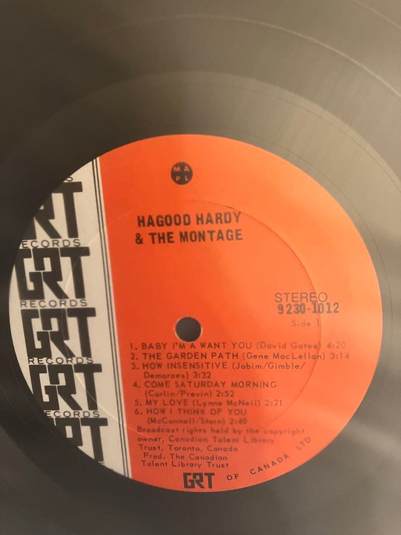 ソフトロック本掲載！HAGOOD HARDY&MONTAGE/MONTAGE