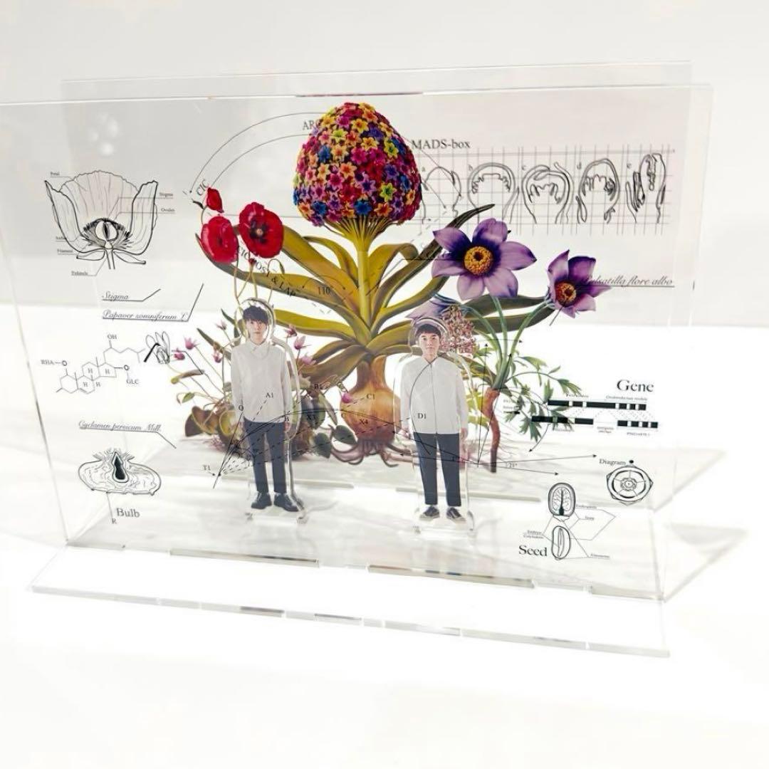 ゆず CD 完全数量限定盤 ALBUM『図鑑 Visual Art Box』