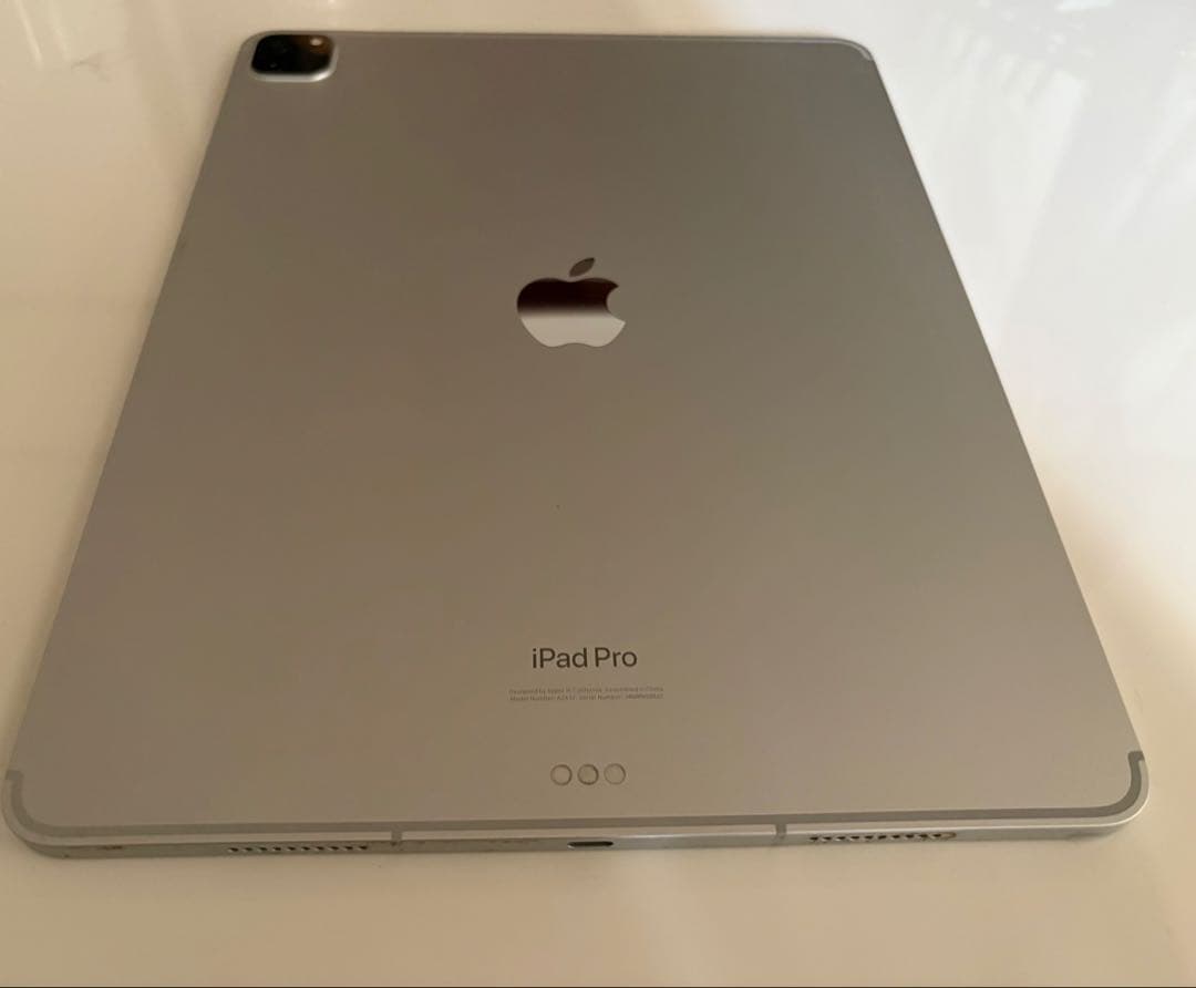 Apple iPad Pro シルバー 本体 this is