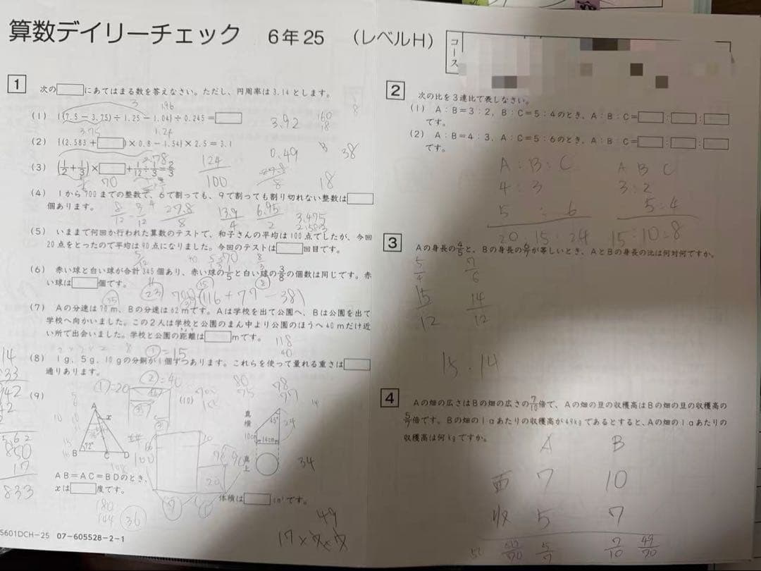 最新版(2025-2026)算数 6年生(授業前テスト・αコース・Hレベル一年間
