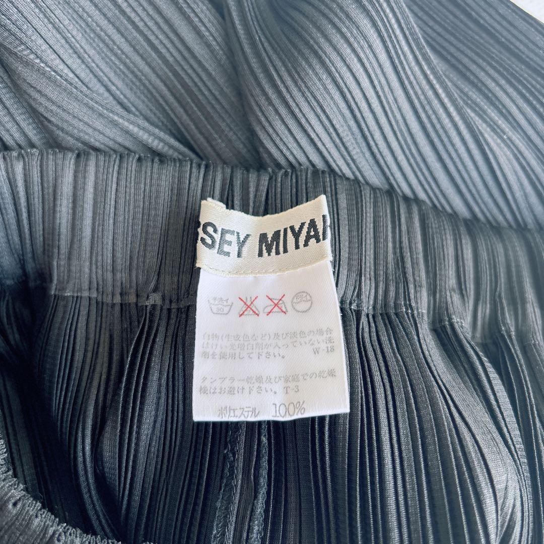 極美品✨ ISSEY MIYAKE イッセイミヤケ　フレアスカート　プリーツ　黒