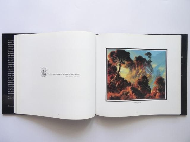 洋書◆デイル・ターブッシュ画集 作品写真集 本 楽園の端にある夢