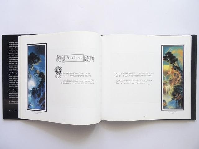 洋書◆デイル・ターブッシュ画集 作品写真集 本 楽園の端にある夢