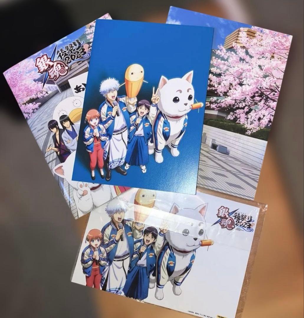 【DVD】イベント 銀魂 後祭り2023 (仮) 初回仕様限定版