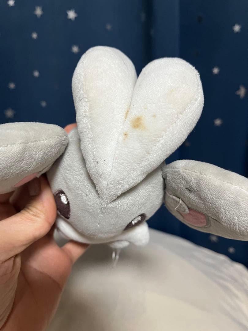 ポケモンぬいぐるみ　ポケドール　5セット