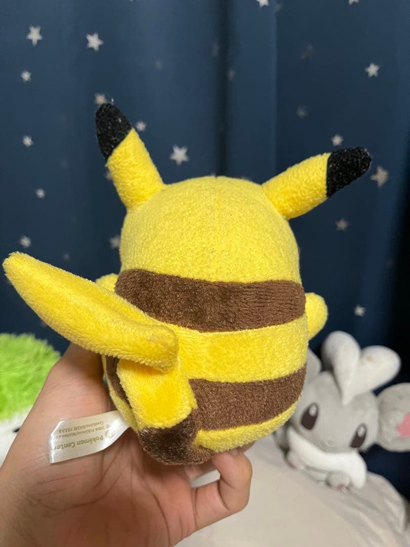 ポケモンぬいぐるみ　ポケドール　5セット