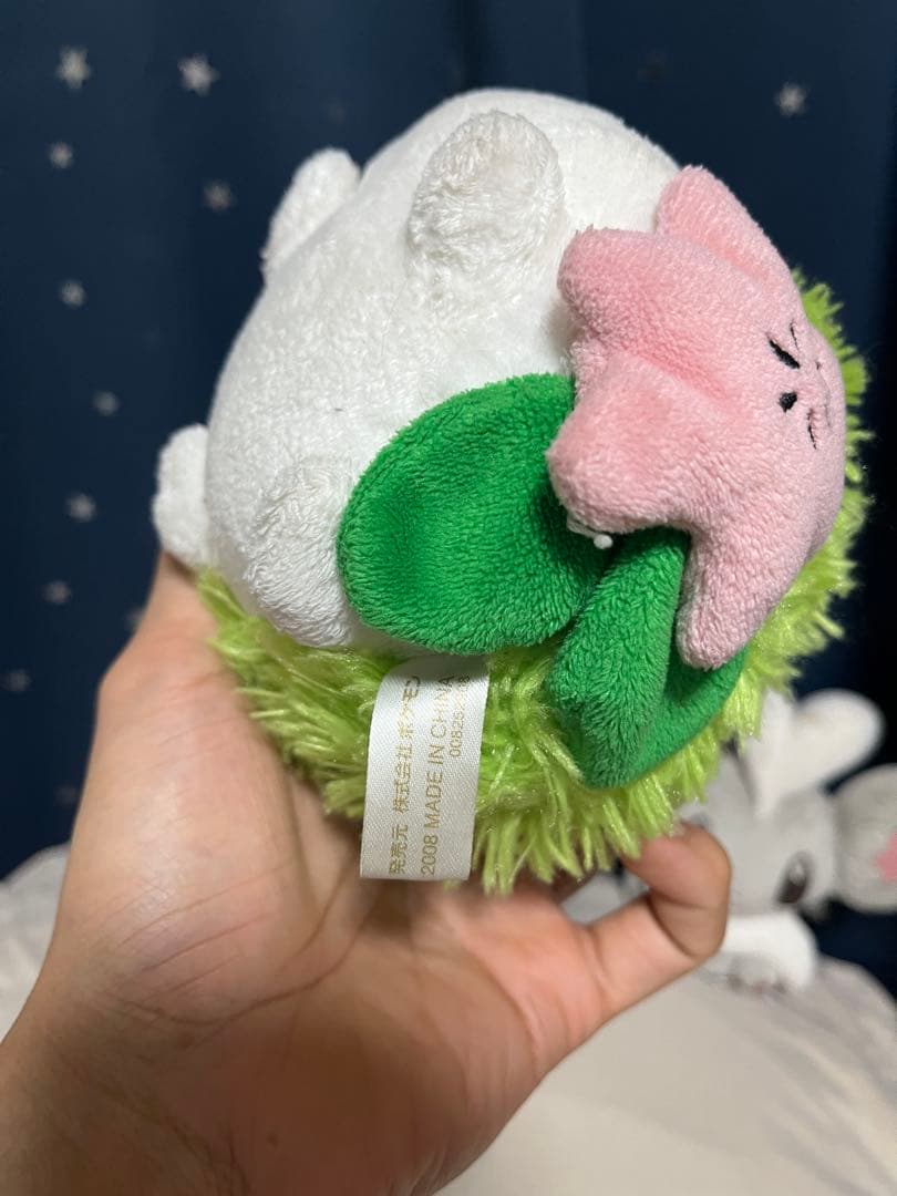 ポケモンぬいぐるみ　ポケドール　5セット