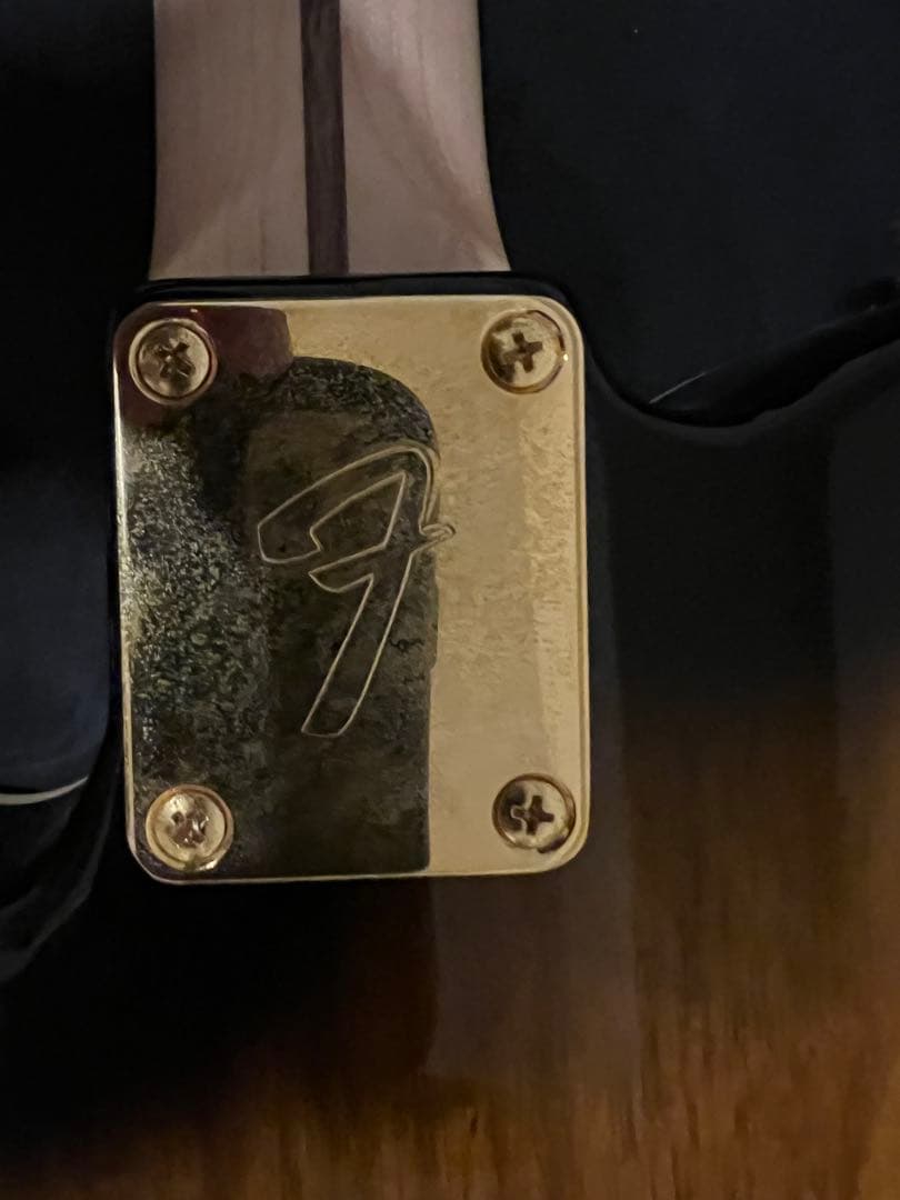 fender Richie Kotzen TELE テレキャスター