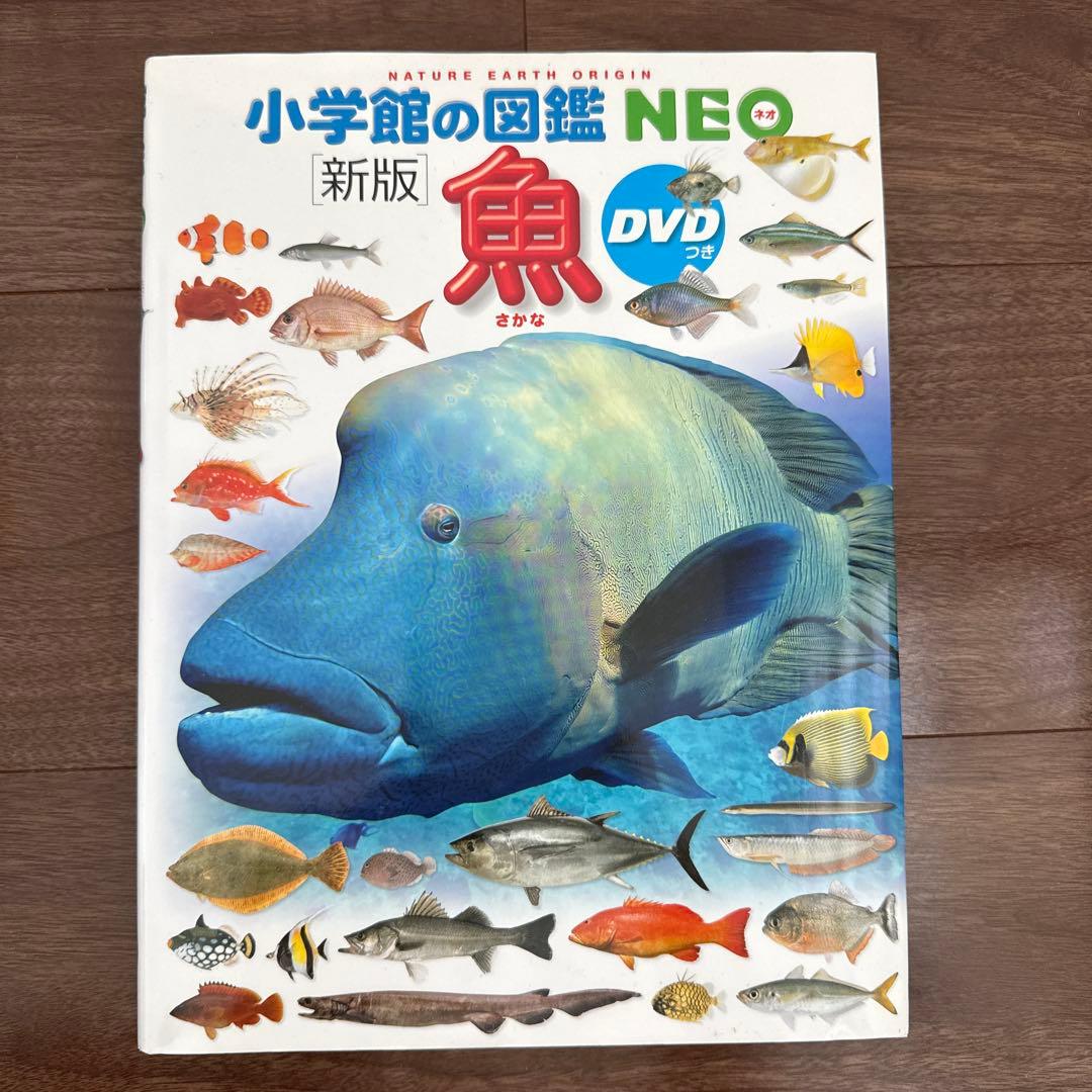 小学館の図鑑NEO (一部DVD付き)15巻セット