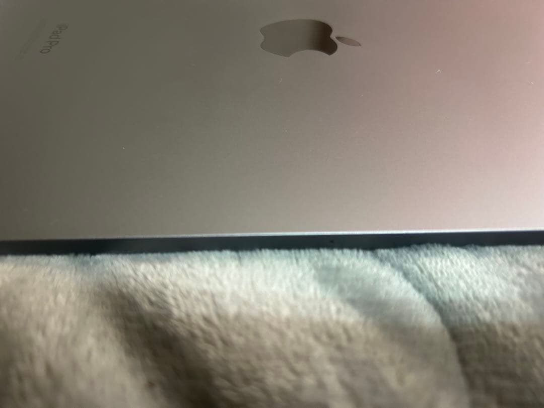 【djjj】Apple iPad Pro 11inch 第4世代