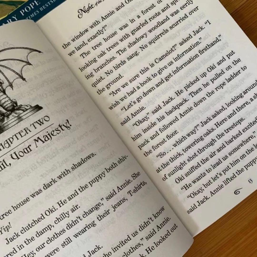 新品　Magic Tree House2 英語絵本27冊　音源おまけ付 即発送