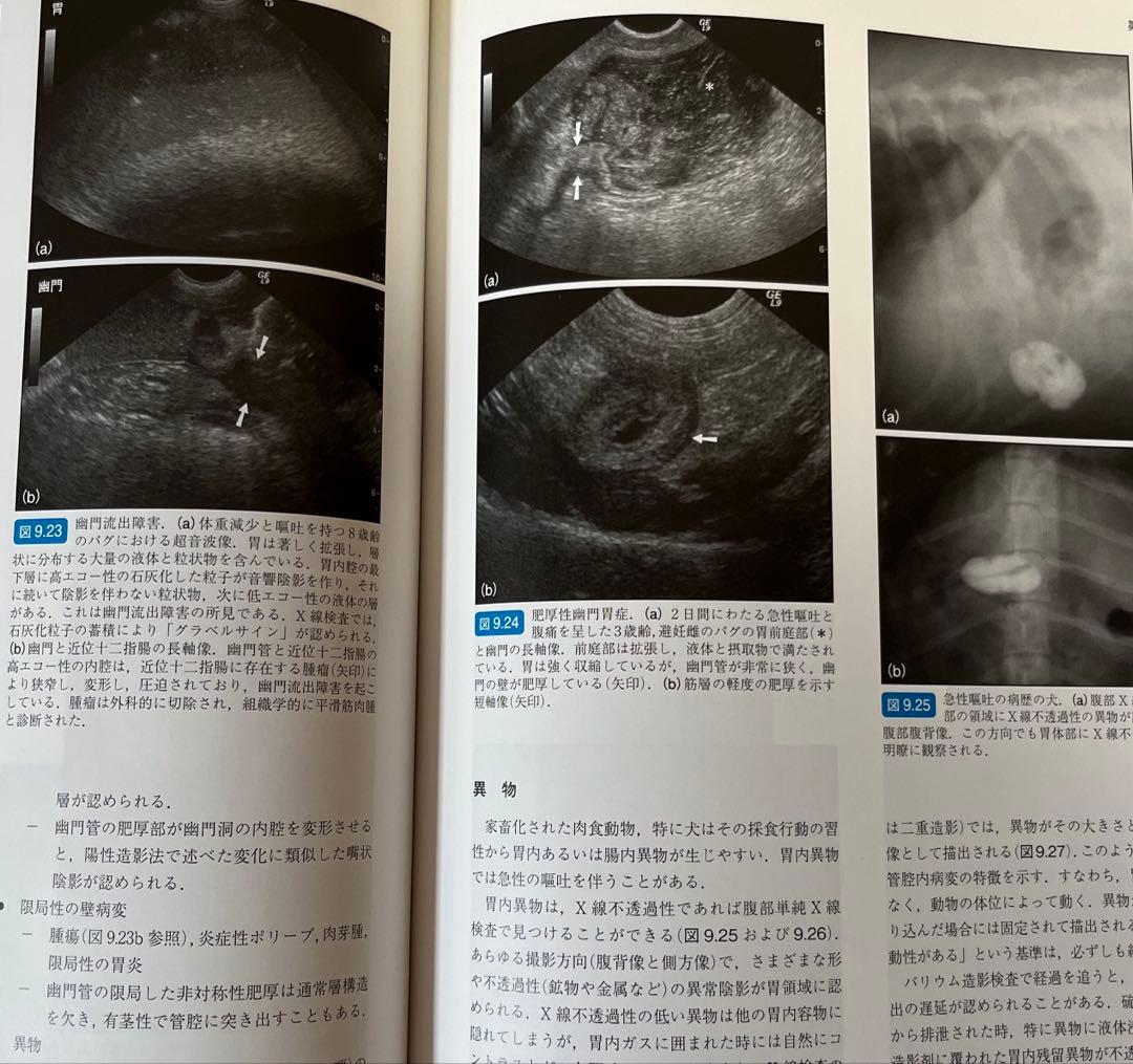 犬と猫の腹部画像診断マニュアル　エコー　X線