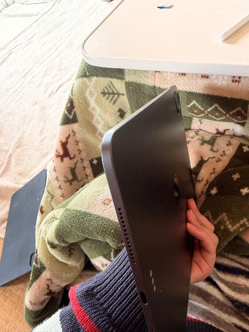 Apple iPad Pro 11インチ (M4) 256GB Wi-Fi