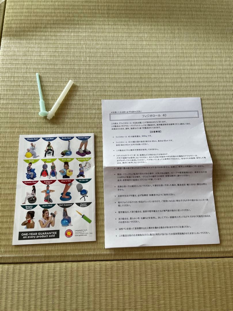 Gymnic PhysioRoll ギムニク フィジオロール 40cm