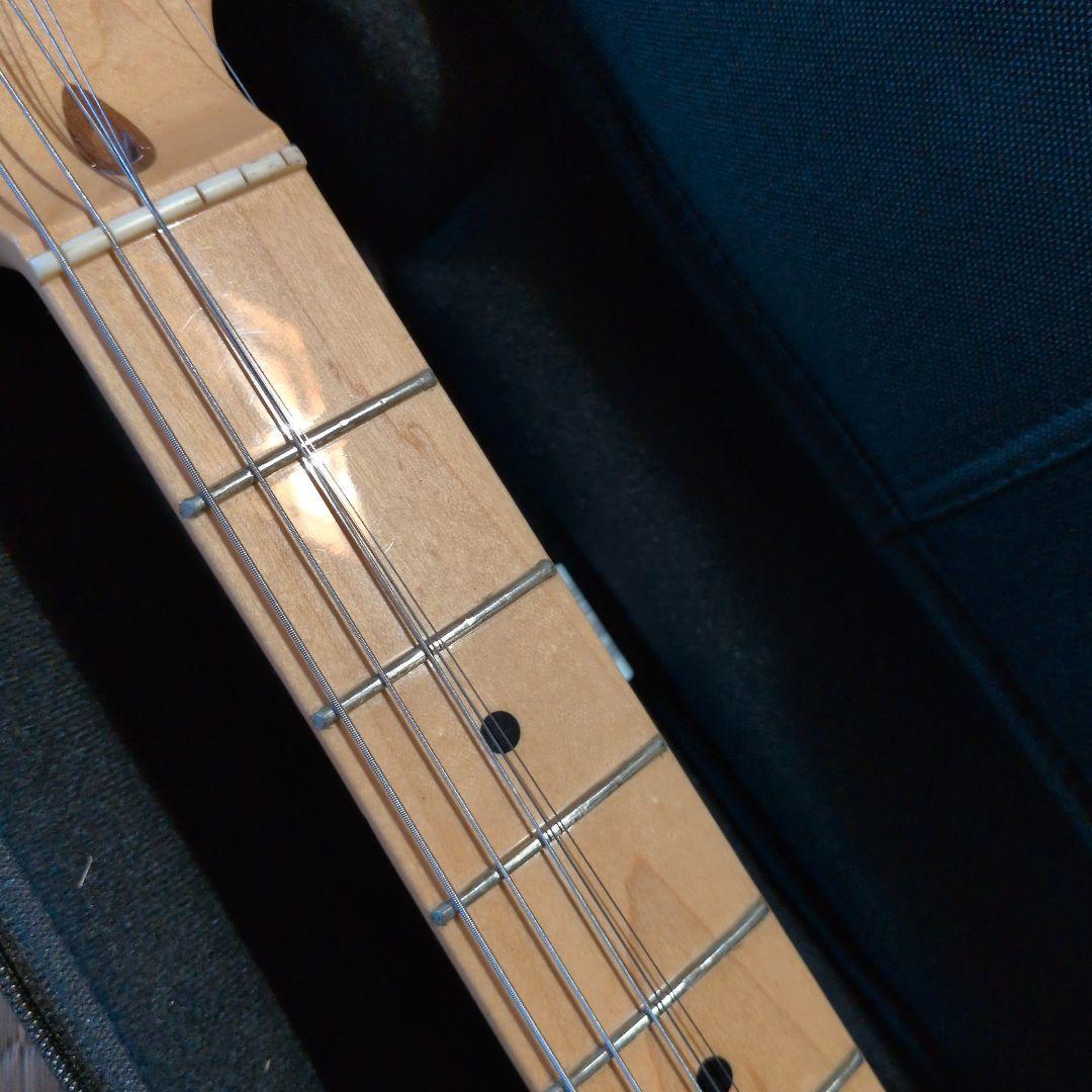 Fender American Professional 2018 オマケ多数