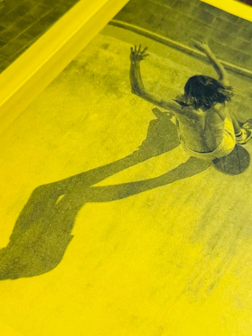 【希少本】Craig Fineman pools