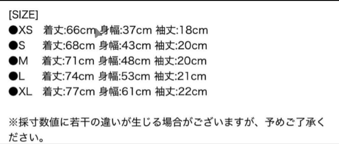 即日発送‼️正規品　ラルフローレン スリムフィット白Tシャツ 一枚usラッパー